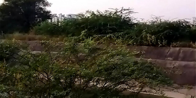 ass,aunty,bbw,bhabhi,boobs,desi,huge cock,mature,milf,outdoor